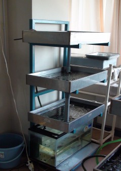 初代、2016年現在も稼働中